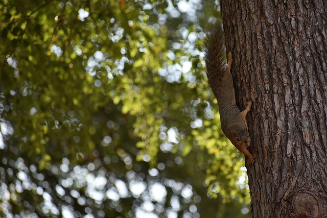 线的主力之 线的主力之