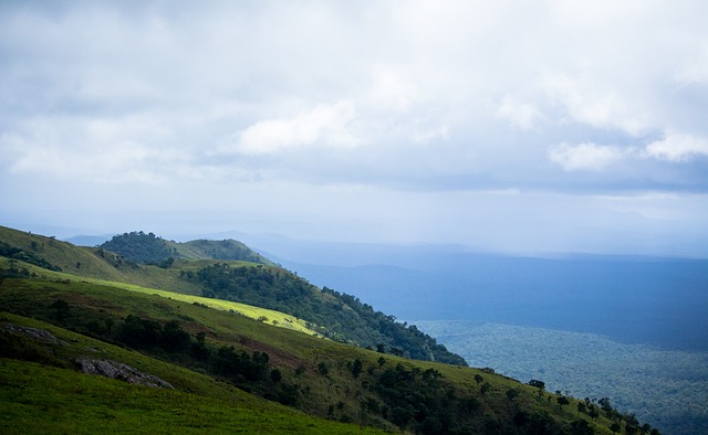 与近期战绩 与近期战绩