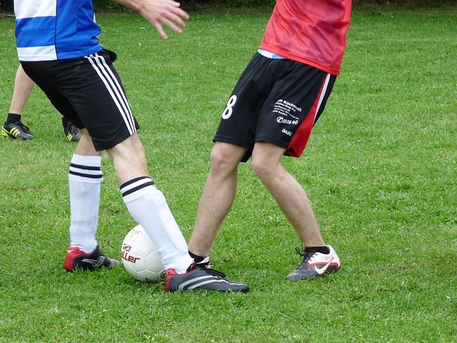 因以及对其 因以及对其