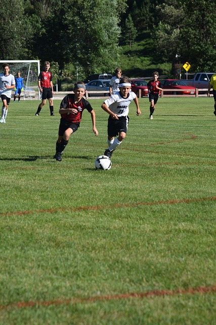 东亚和西亚 东亚和西亚