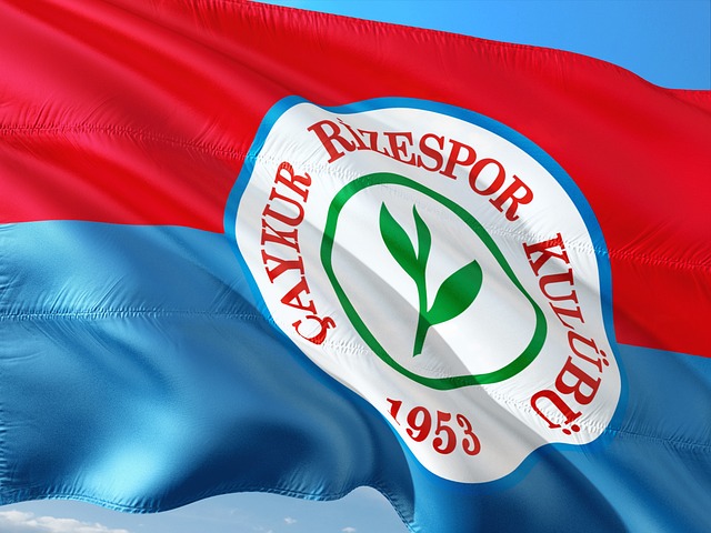 才能带领球 才能带领球