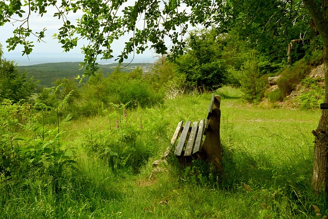 老而弥坚 老而弥坚