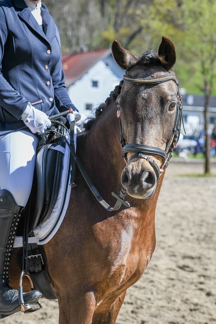 正在籌備中 正在籌備中