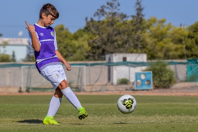 快船的整体 快船的整体