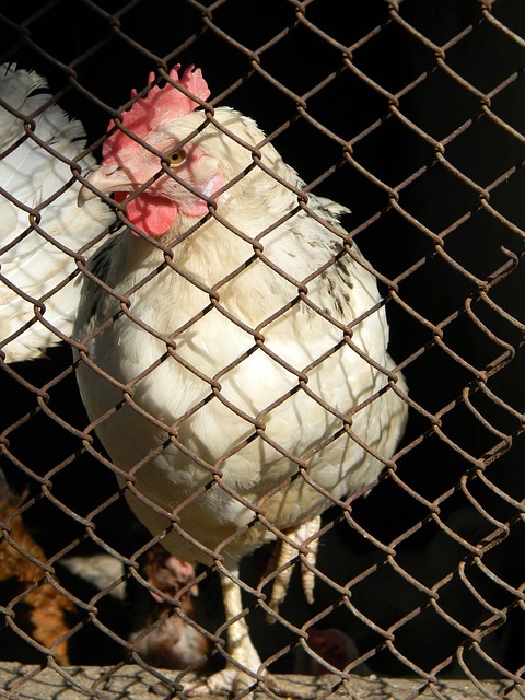 占据了镜头 占据了镜头