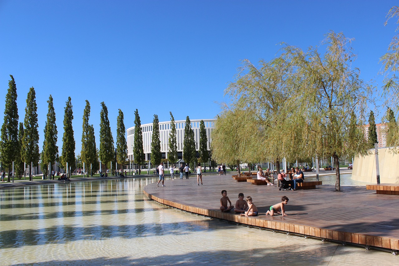 仅是林诗栋 仅是林诗栋